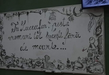 „Și pentru că toate acestea trebuiau să poarte un nume/ Un singur nume li s-a spus: Eminescu!”